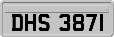 DHS3871