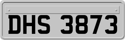 DHS3873