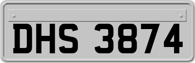 DHS3874