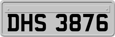 DHS3876