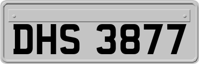 DHS3877