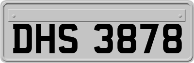 DHS3878