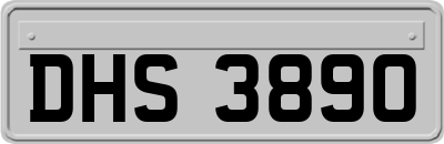 DHS3890