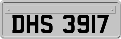 DHS3917