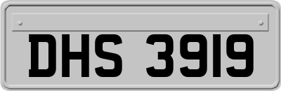 DHS3919