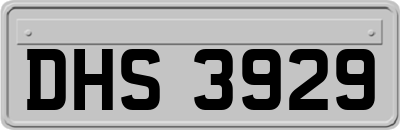DHS3929