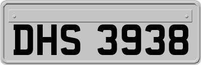 DHS3938