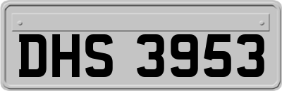 DHS3953