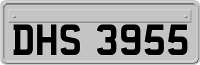 DHS3955