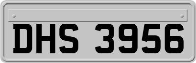 DHS3956