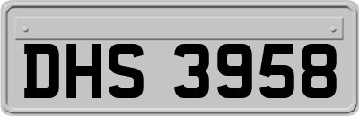 DHS3958