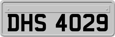 DHS4029