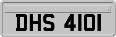 DHS4101