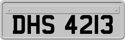 DHS4213