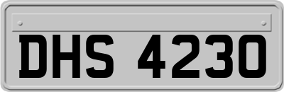 DHS4230