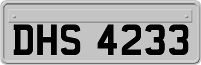 DHS4233