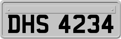 DHS4234