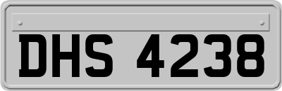DHS4238