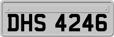 DHS4246