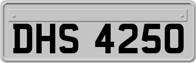 DHS4250