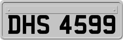 DHS4599