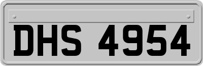 DHS4954