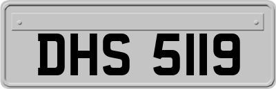DHS5119