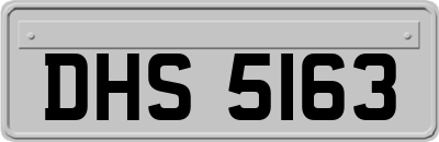 DHS5163