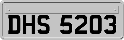 DHS5203