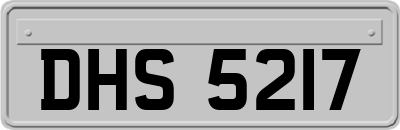 DHS5217