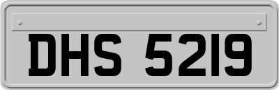 DHS5219
