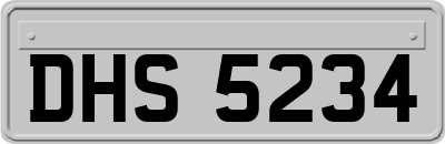 DHS5234