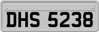DHS5238