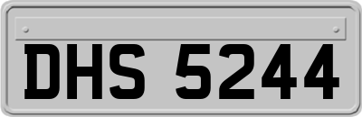 DHS5244