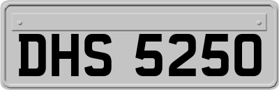 DHS5250