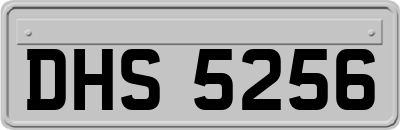 DHS5256