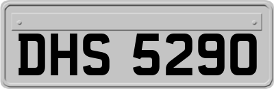 DHS5290