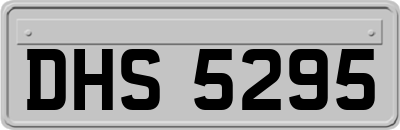 DHS5295