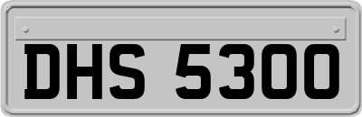 DHS5300