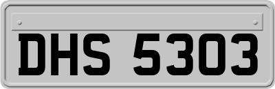 DHS5303