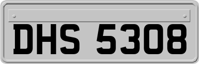 DHS5308