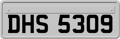 DHS5309