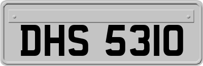 DHS5310