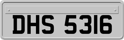 DHS5316