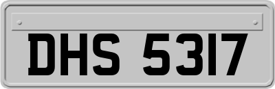 DHS5317