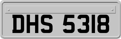 DHS5318