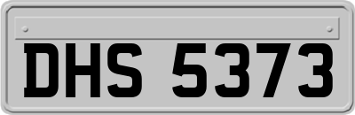 DHS5373