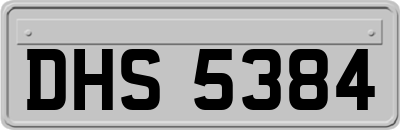 DHS5384
