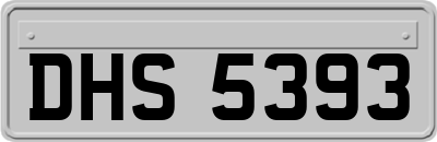 DHS5393