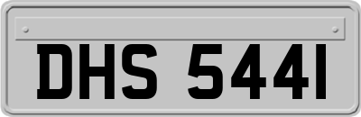 DHS5441